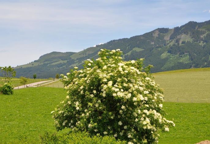 Bild 18