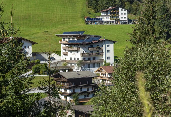Bild 8
