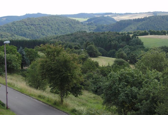 Bild 15