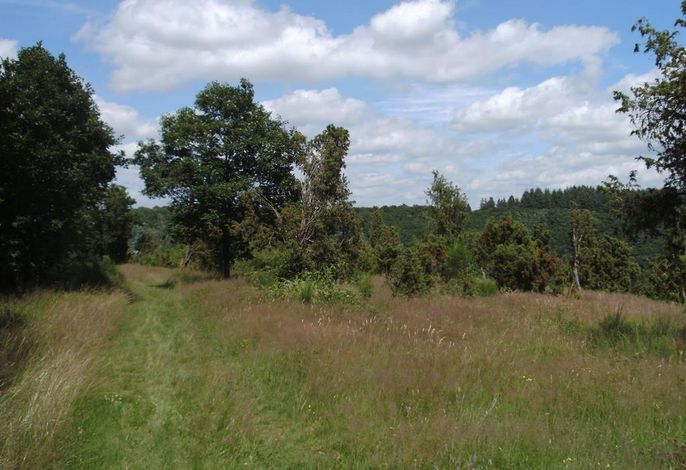 Bild 18