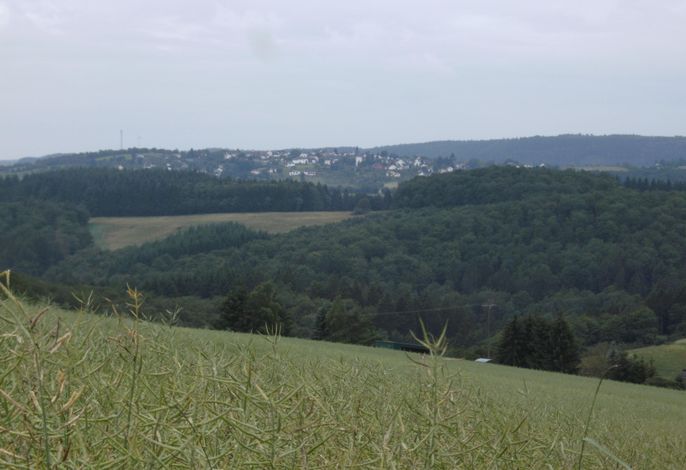 Bild 16
