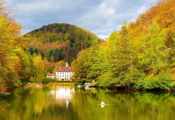 Hotel Pfälzer Wald