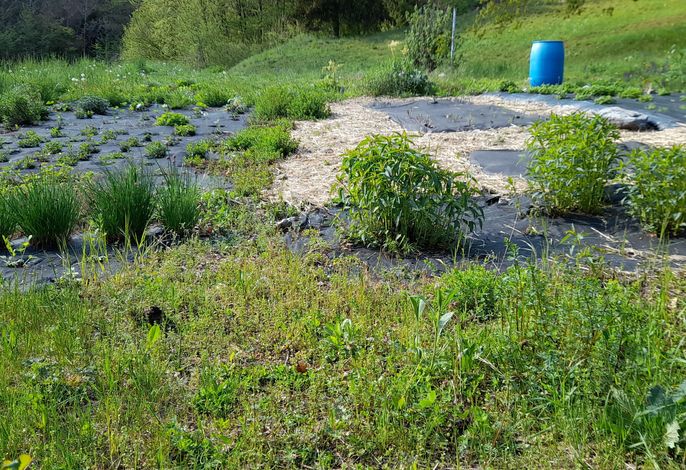Bild 17