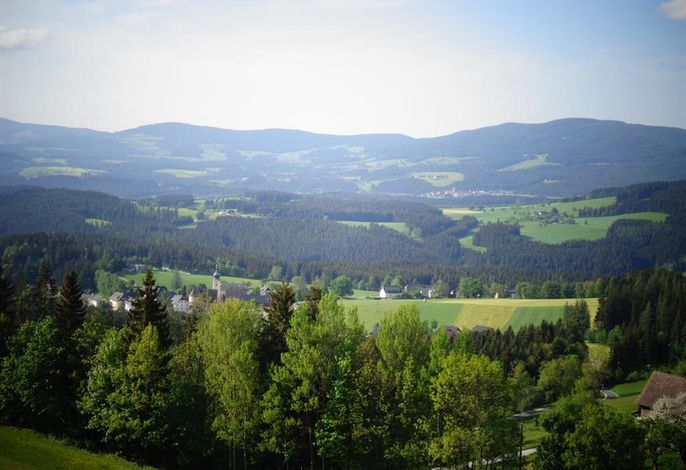 Bild 94