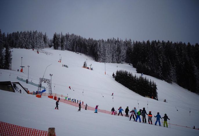 Bild 115