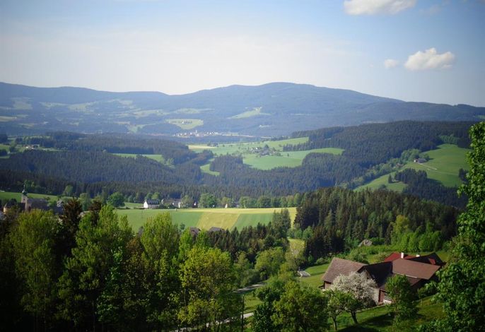 Bild 92
