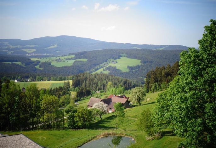 Bild 14