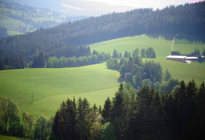 Bild 93