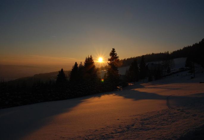 Bild 112