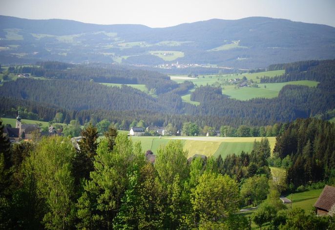 Bild 19