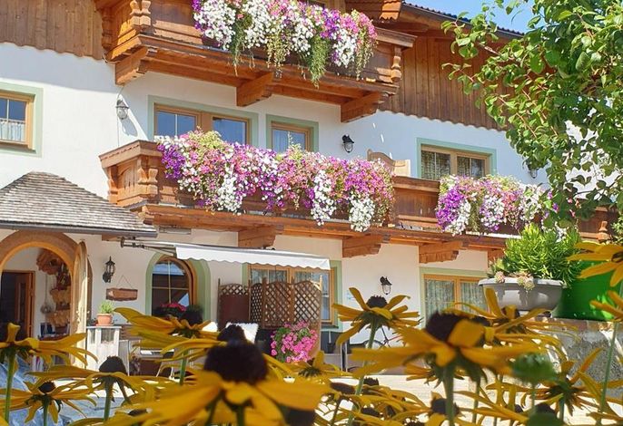 Bild 12