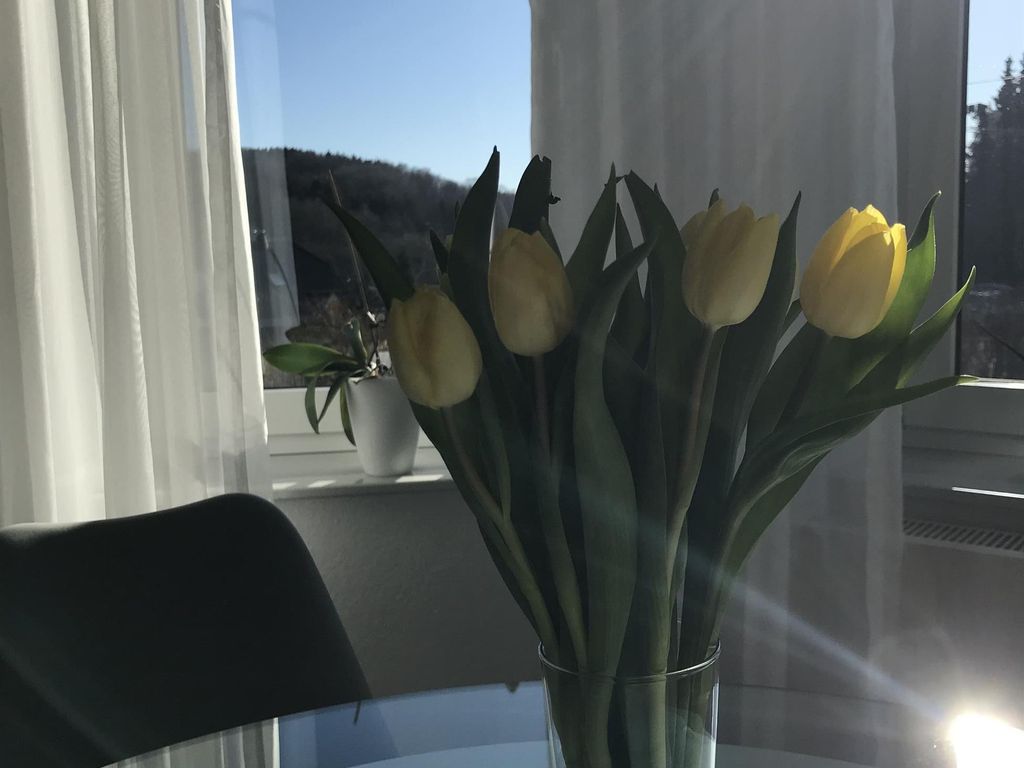 Ferienwohnung Benner