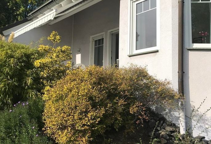 Bild 19