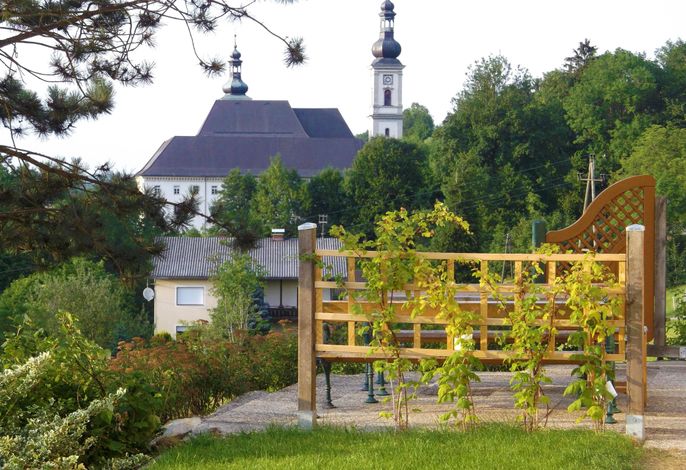 Bild 19