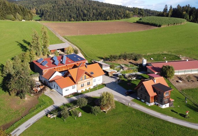 FEWO "Gockelhahn"