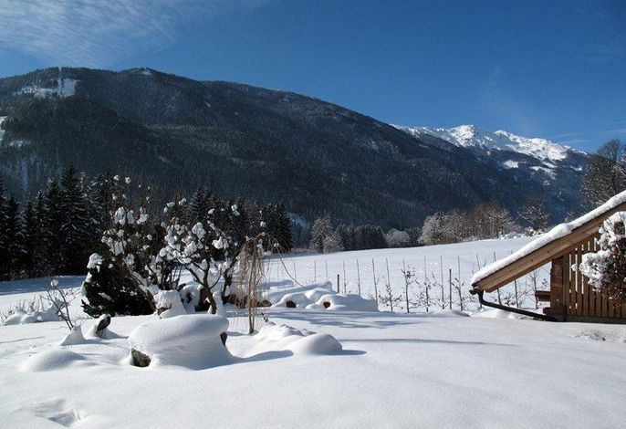 Bild 14