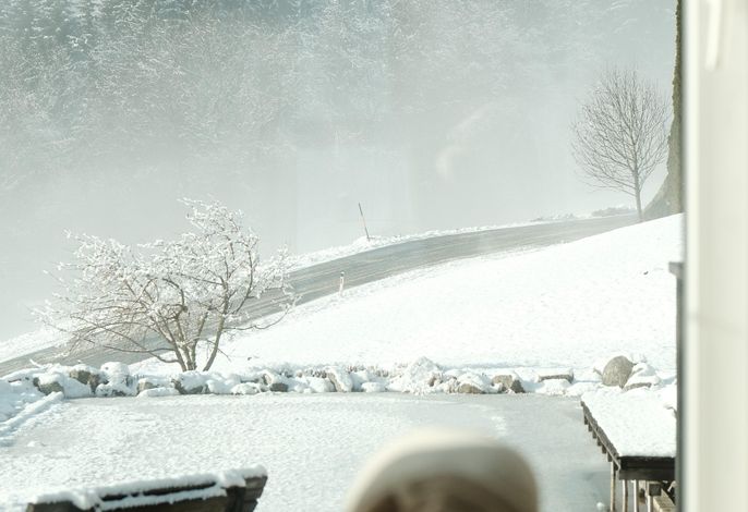 Bild 52
