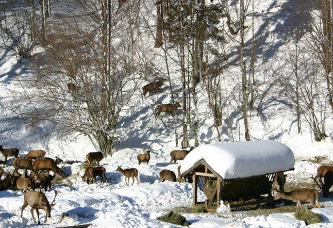 Bild 16