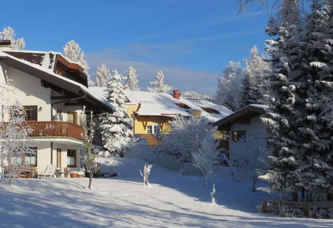 Bild 24