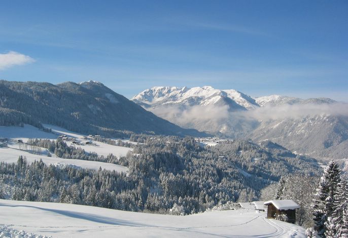 Bild 36