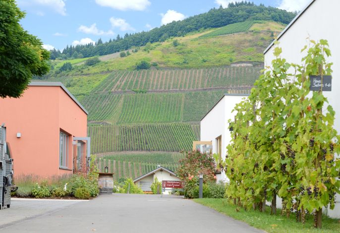 Bild 19