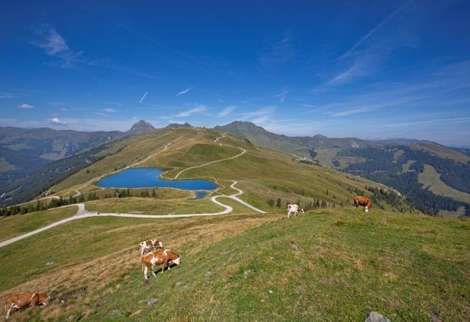 Bild 16