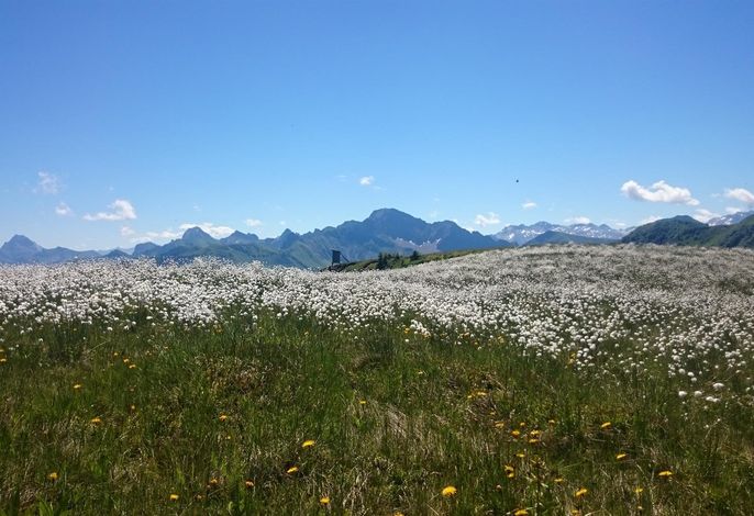 Bild 18