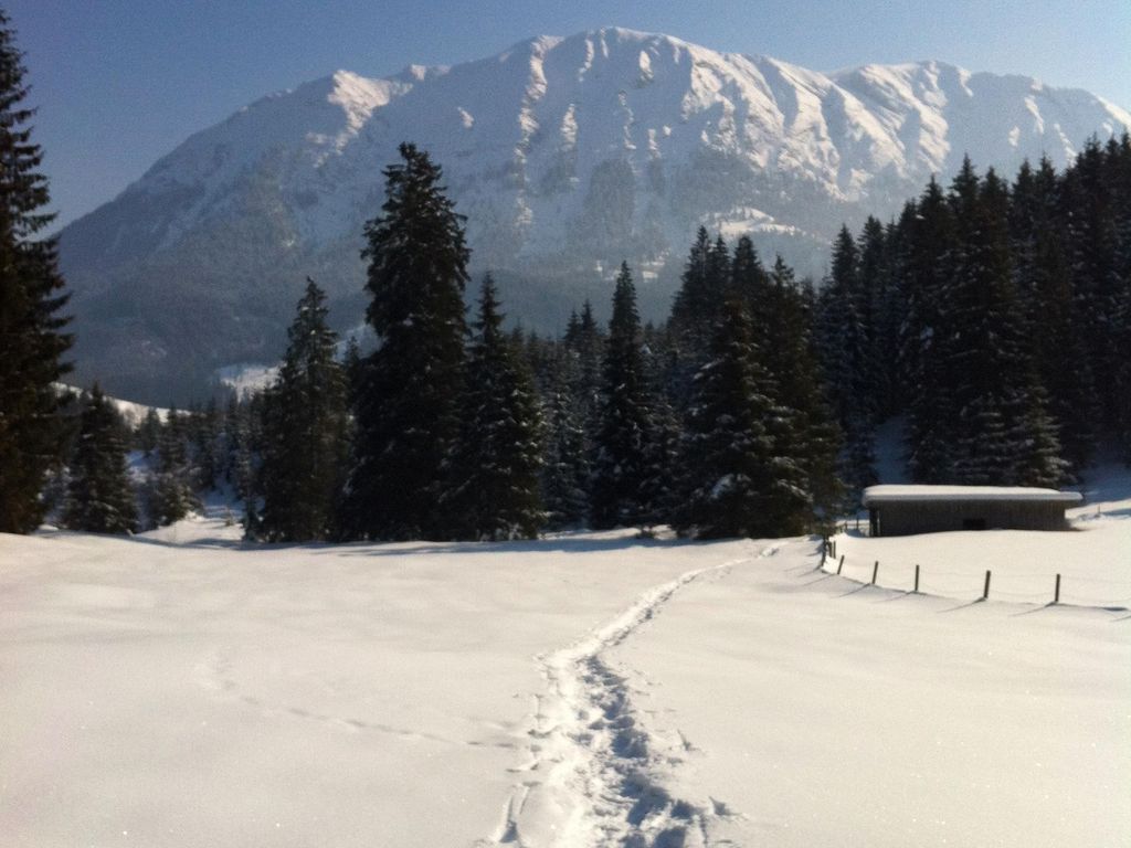 Guffertblick