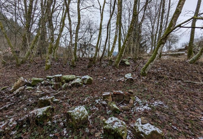 Bild 11