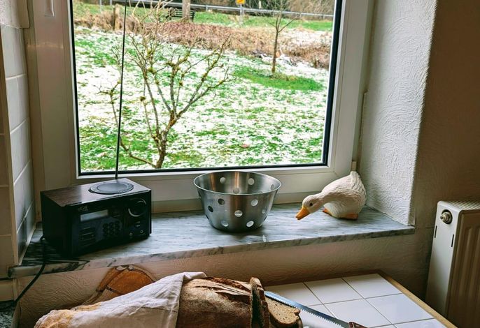 Bild 15