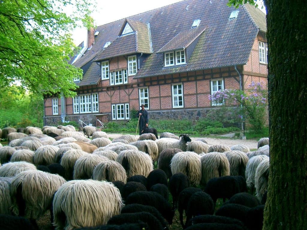 Ferienwohnungen Haus Heidetal