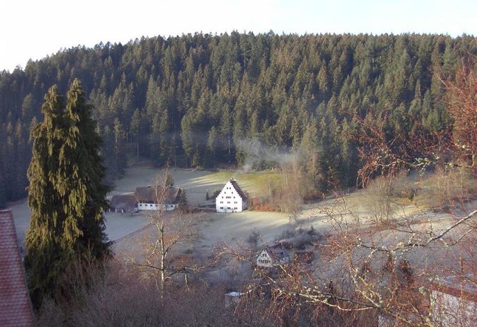 Bild 15