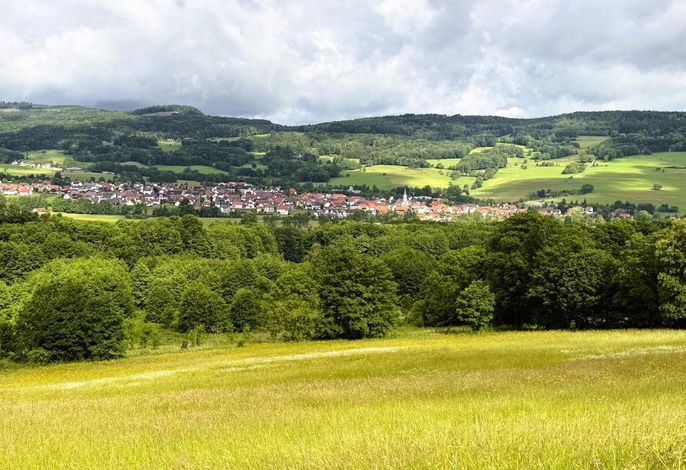 Bild 8