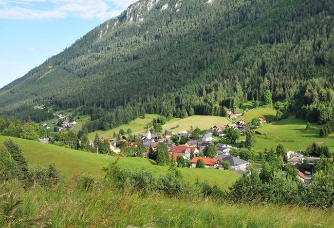 Bild 33