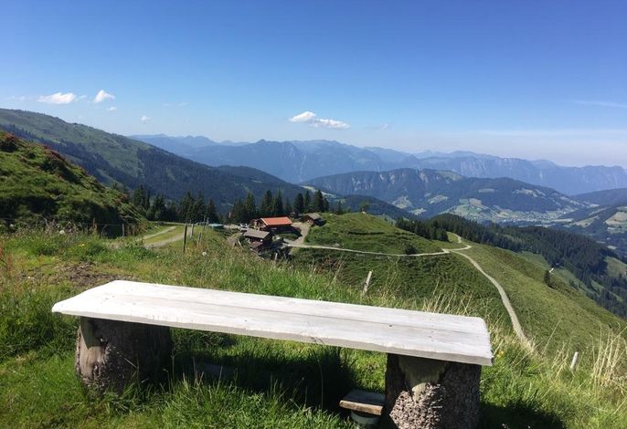 Bild 14