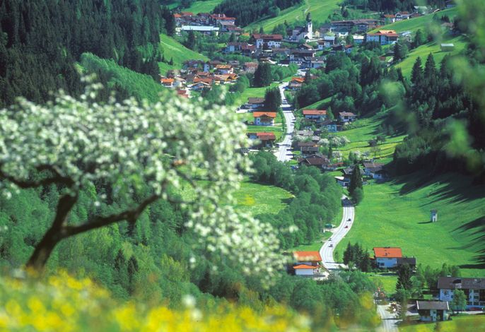 Bild 12