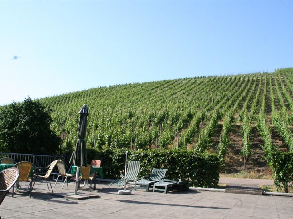 Weingut IMMICH-ANKER