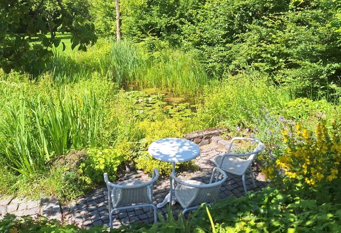 Bild 12