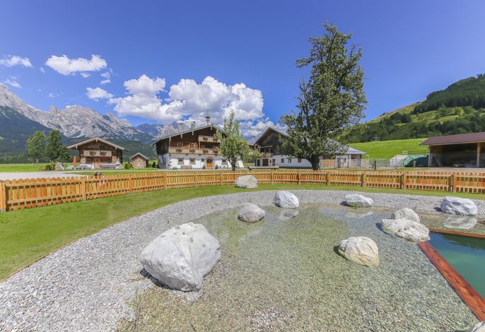 Bild 54