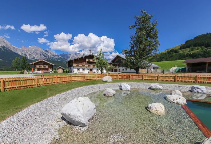Bild 17