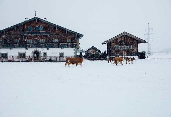 Appartements – Hochkönig