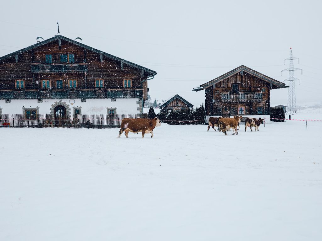Hoferbichlgut Appartements