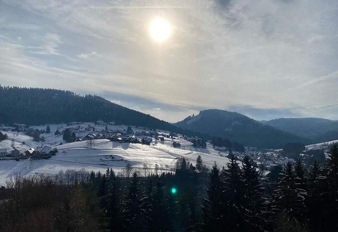 Bild 12