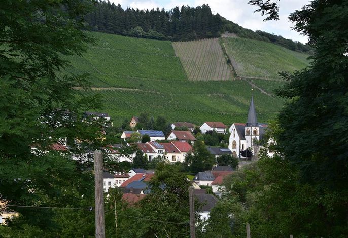 Bild 22