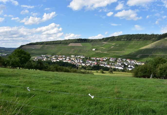 Bild 18