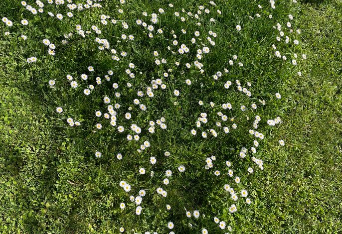 Ferienwohnung Zum Geisberg – Foto 3