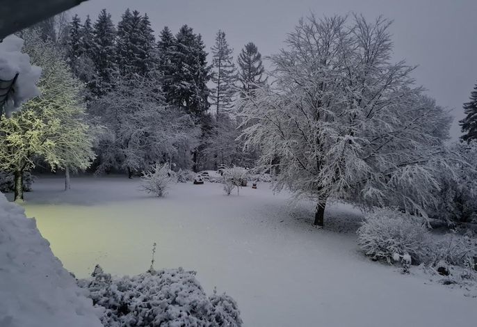 Bild 16