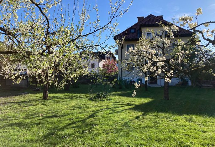 Bild 10