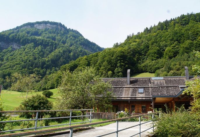 Bild 15
