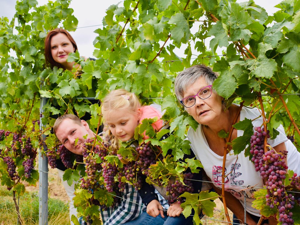 Ferienwohnung Weingut Kurt Bug